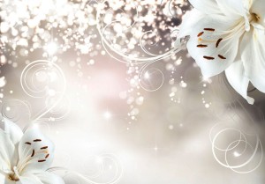 Fototapeta - Zaczarowana kompozycja