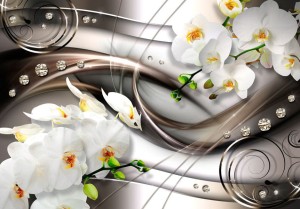 Fototapeta - Bryza i orchidea