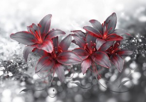 Fototapeta - Cień namiętności