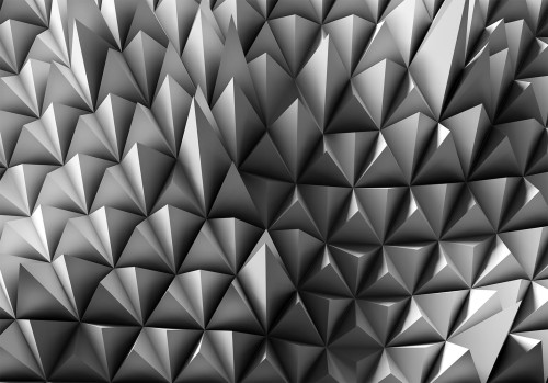 Fototapeta - Kolczasta tożsamość