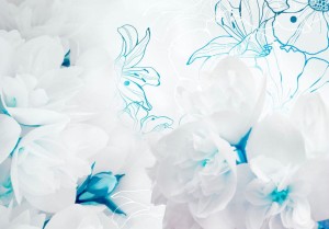 Fototapeta - Miękkość puchu