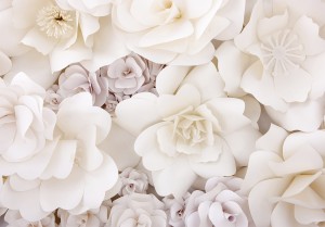 Fototapeta - Kwiecista ekspozycja