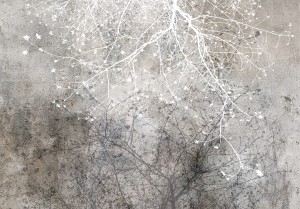 Fototapeta - Jasne rozgałęzienie