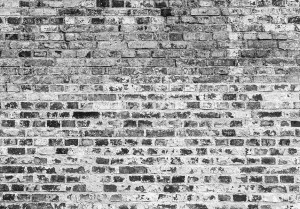 Fototapeta - Granica szarości