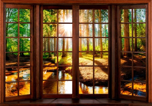 Fototapeta - Leśny taras