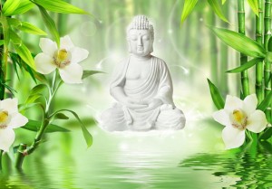 Fototapeta - Budda i natura