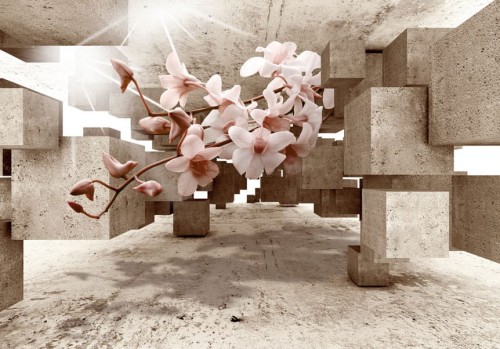 Fototapeta - Małe cuda