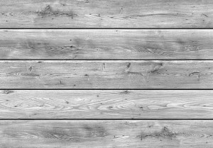 Fototapeta - Szare królestwo