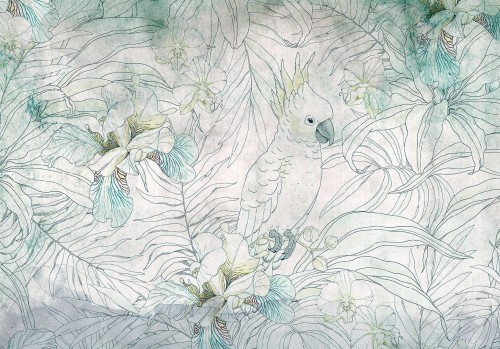 Fototapeta - Kakadu w ogrodzie