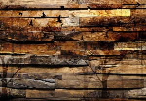 Fototapeta - Odbicie natury