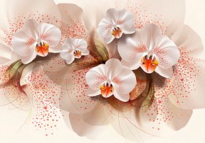 Fototapeta - Herbaciane orchidee