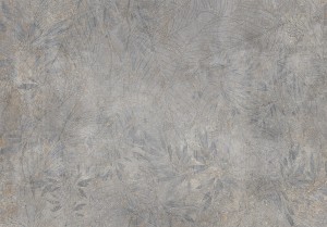 Fototapeta - Szarość natury