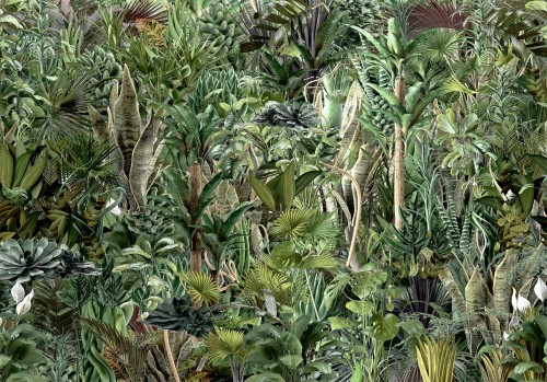 Fototapeta - Bogactwo dżungli