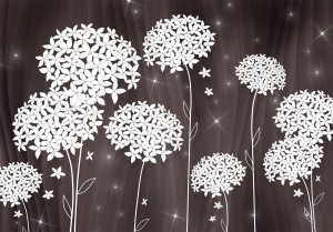 Fototapeta - Magiczna kompozycja