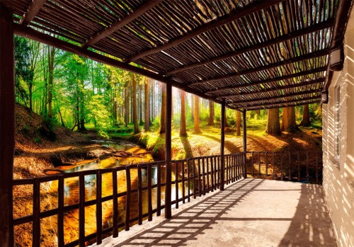 Fototapeta - Wracając do natury