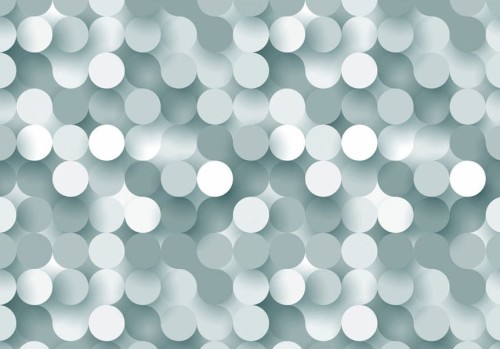 Fototapeta - W sieci szarości