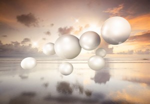 Fototapeta - Poranne klejnoty