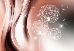 Fototapeta - Naturalna łagodność