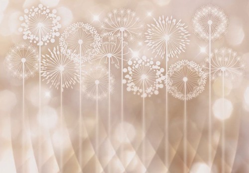 Fototapeta - Promienne kwiaty