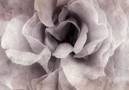 Fototapeta - Wejście do rozkoszy