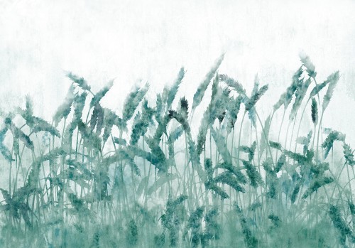 Fototapeta - Błękitne kłosy