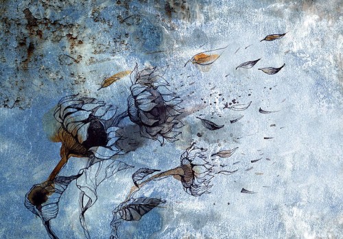 Fototapeta - W objęciach wiatru