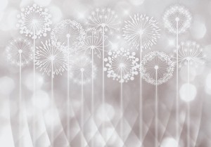 Fototapeta - Ogród ze snu