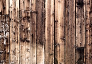 Fototapeta - Poezja drewna