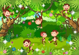 Fototapeta - Małpie sztuczki