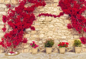 Fototapeta - Ciepłe popołudnie