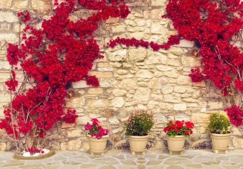 Fototapeta - Ciepłe popołudnie