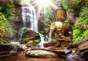 Fototapeta - Leśna modlitwa