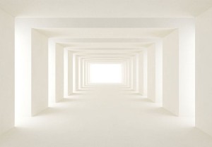 Fototapeta - W stronę światła