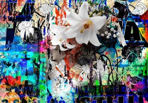 Fototapeta - Miejska lilia