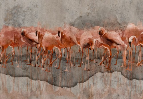 Fototapeta - Egzotyczne ptaki - różowe flamingi z cieniem na szarym betonowym tle