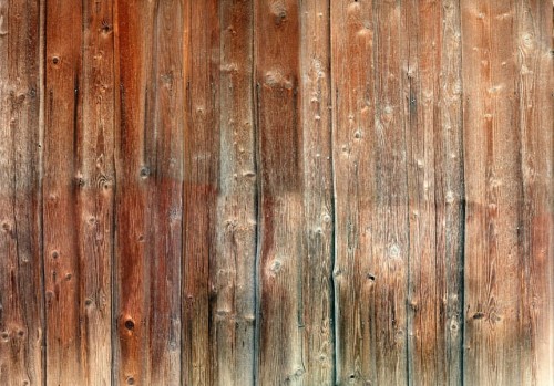 Fototapeta - Leśna chatka