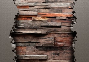 Fototapeta - Ukryta natura