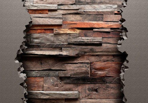 Fototapeta - Ukryta natura