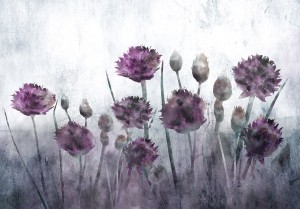 Fototapeta - Dzikość natury