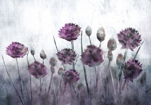 Fototapeta - Dzikość natury