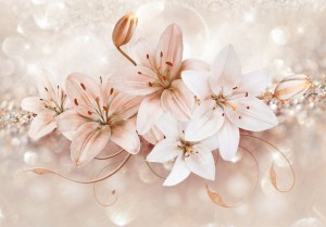 Fototapeta - Bukiet nimfy