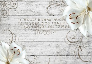 Fototapeta - Bonne Nouvelle