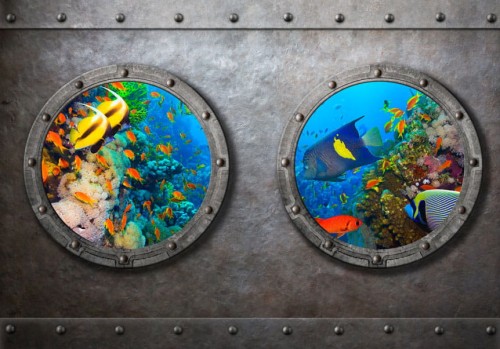 Fototapeta - Okno na podwony świat