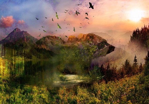 Fototapeta - Niedźwiedź w górach