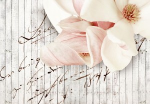 Fototapeta - List miłosny