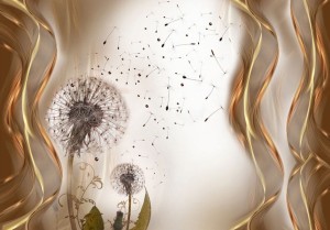 Fototapeta - Chwile ulotne