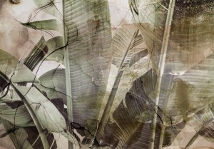 Fototapeta - Bananowa dżungla