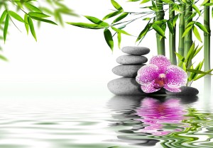 Fototapeta - Ogród wodny