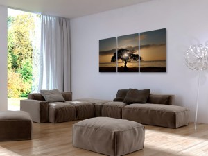 Obraz - Niezwykła przyroda