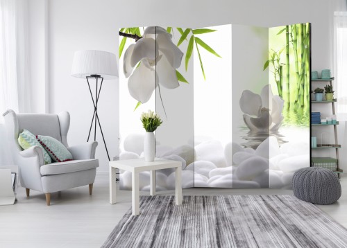 Parawan - Jezioro ciszy II